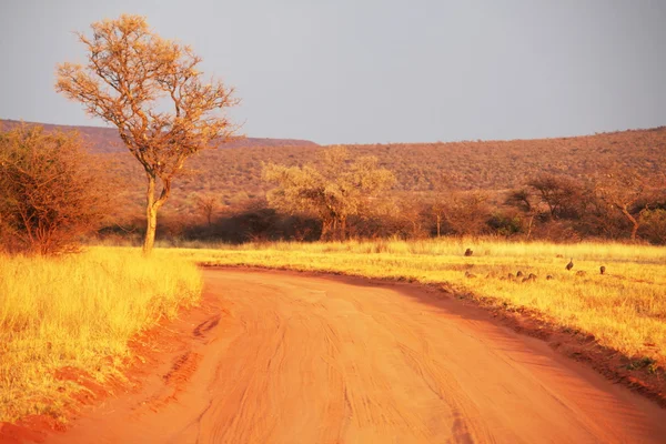 Afrika manzaraları — Stok fotoğraf