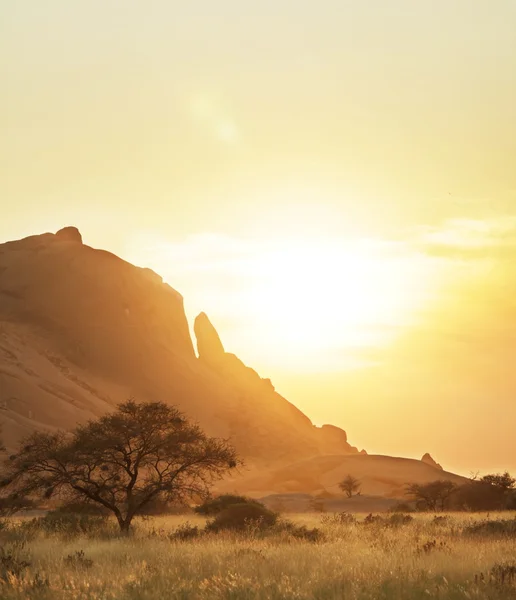 Afrikaanse bergen — Stockfoto