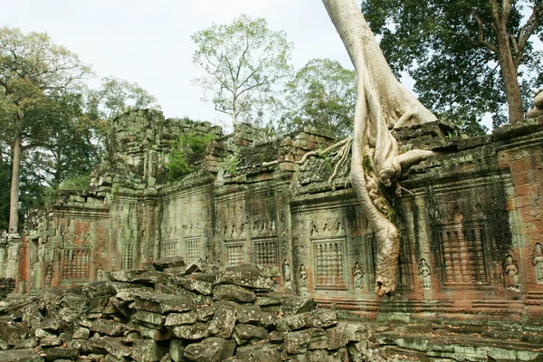 캄보디아에서 앙코르 — 스톡 사진