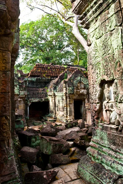 Ангкор — стокове фото
