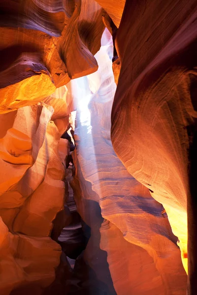 Antílope escena del cañón — Foto de Stock