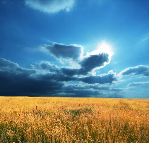 Campo de outono — Fotografia de Stock