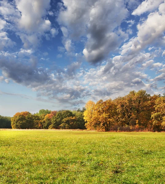 Осеннее поле — стоковое фото