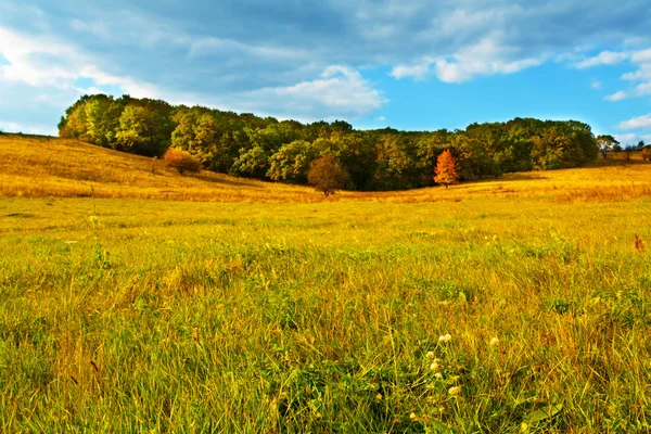 秋の草地 — ストック写真