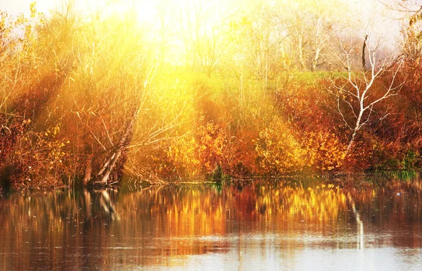 Autumn lake — Stock Photo, Image