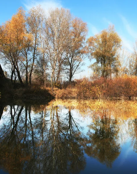 stock image Autumn on lake