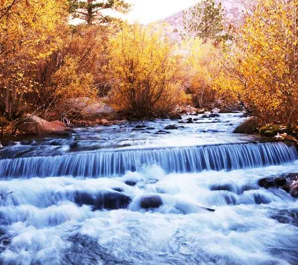 Φθινόπωρο στο ποτάμι — Φωτογραφία Αρχείου