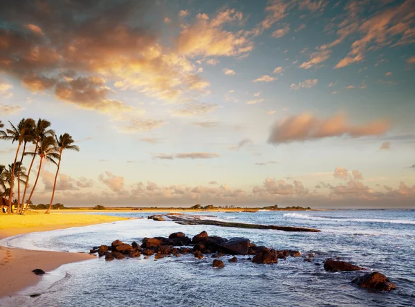 Beach on sunset — Stock Photo, Image