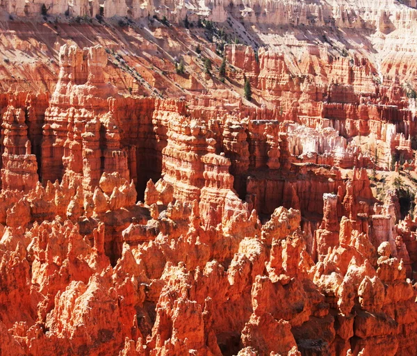 Falaise des canyons de Bryce — Photo