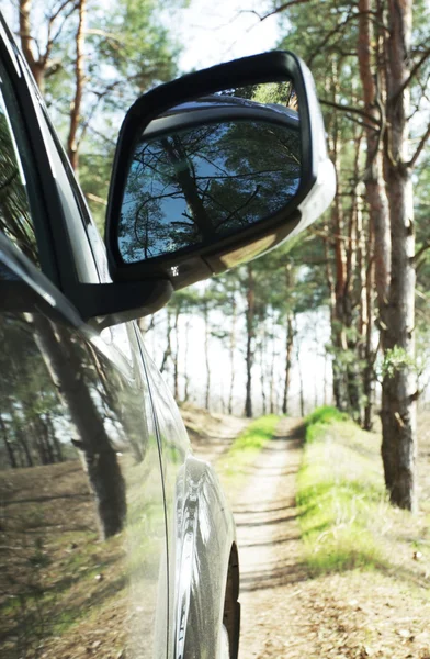 Carro na floresta — Fotografia de Stock