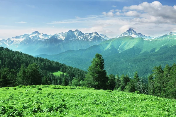 ภูเขา Caucasus — ภาพถ่ายสต็อก