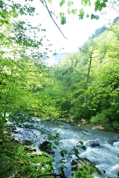 Creek v horských — Stock fotografie