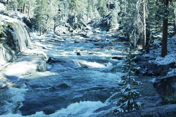 Creek na montanha — Fotografia de Stock