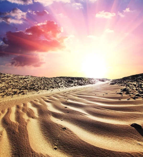 Günbatımı üzerinde çöl — Stok fotoğraf