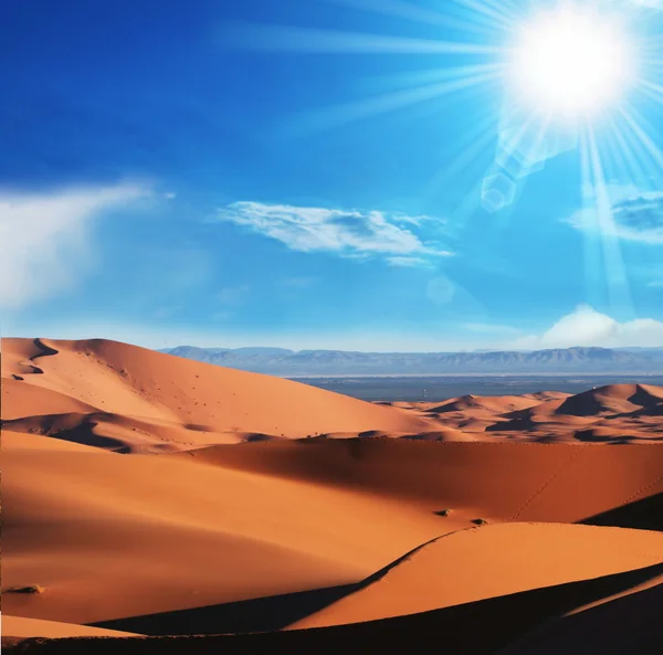 Пустеля — стокове фото