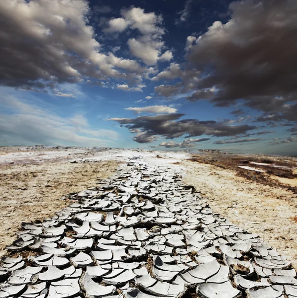 가뭄 사막 — 스톡 사진