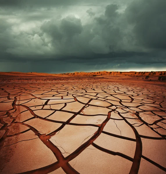 Tierras de sequía —  Fotos de Stock