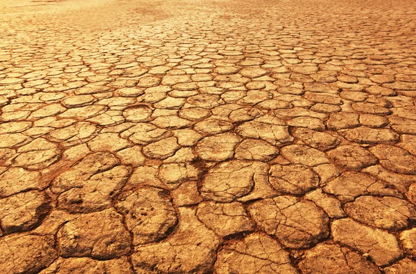 Sequía —  Fotos de Stock