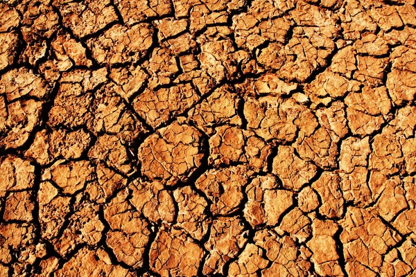 Dürre — Stockfoto