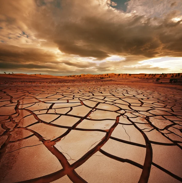 Sequía — Foto de Stock
