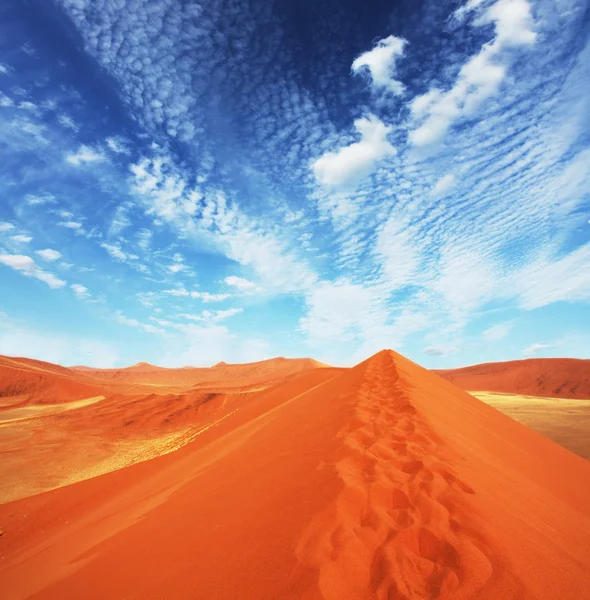 Dune — Photo