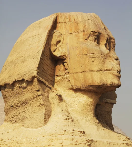 埃及狮身人面 — 图库照片