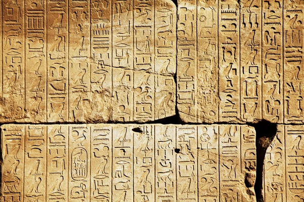Egyptská textura — Stock fotografie