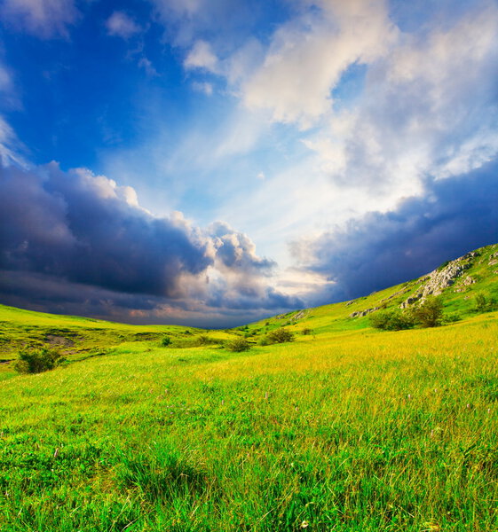 Поле на закате
