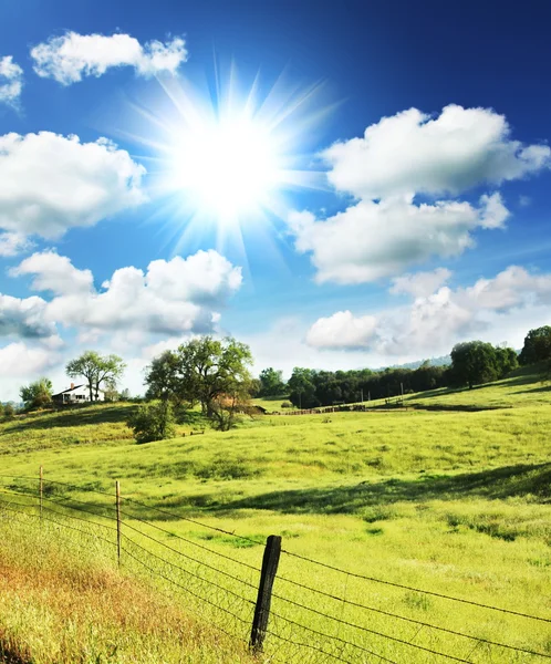 stock image Field on sunset