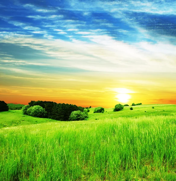 Louky a pastviny na západ slunce — Stock fotografie