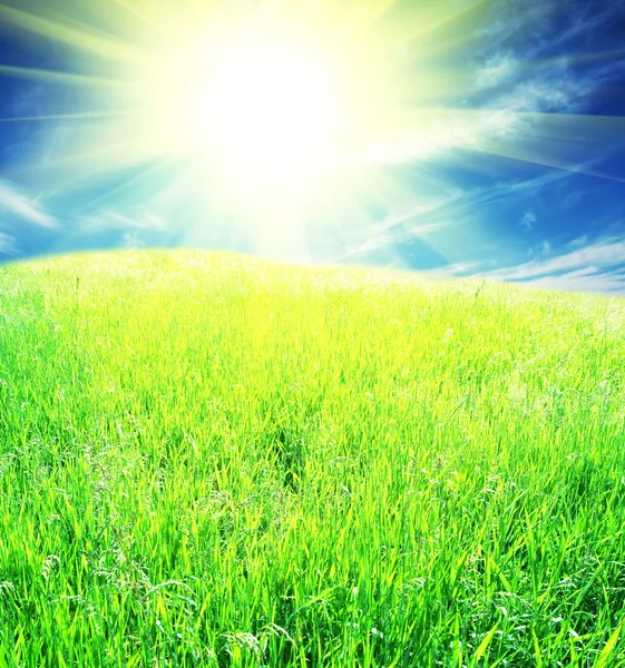 日当たりの良い上のグリーン フィールド — ストック写真