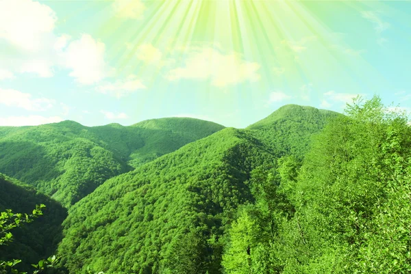 ภูเขาสีเขียว — ภาพถ่ายสต็อก