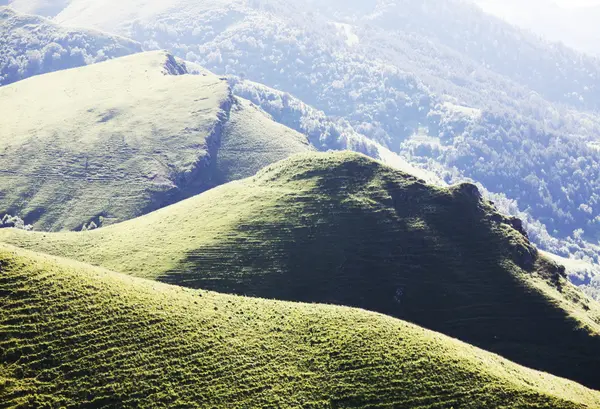 Green hills — Stock Photo, Image