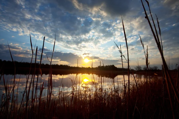 Nad jeziorem na słońca — Zdjęcie stockowe