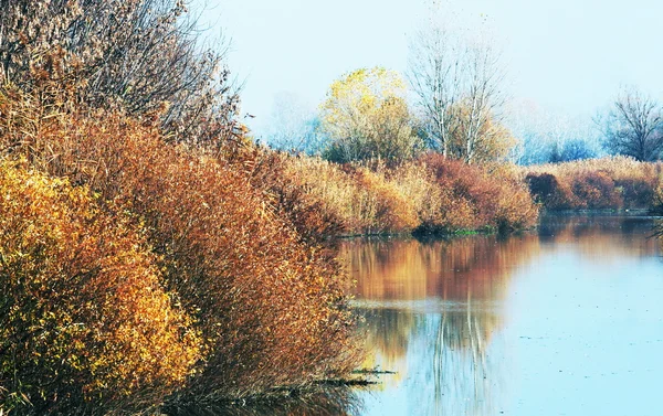 stock image Lake