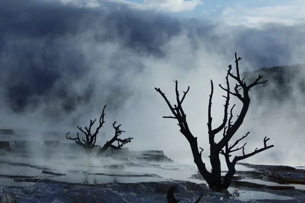 Мамонт гарячий джерело в Yellowstone — стокове фото