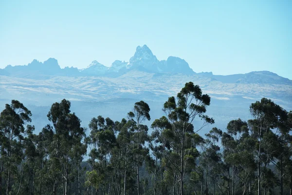 山高峰肯尼亚 — 图库照片