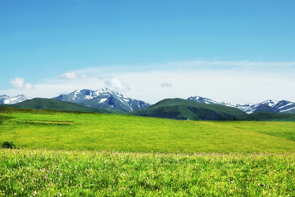 Montañas prado — Foto de Stock