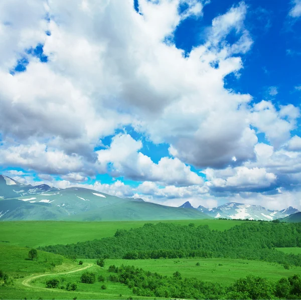 Dağ çayır — Stok fotoğraf