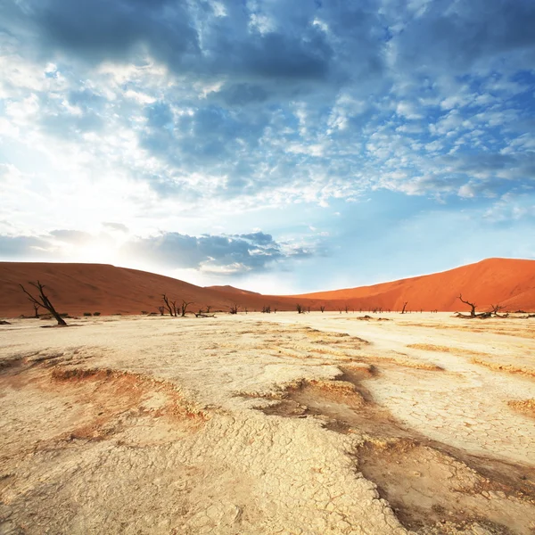 Deserto do Namib ao nascer do sol — Fotografia de Stock
