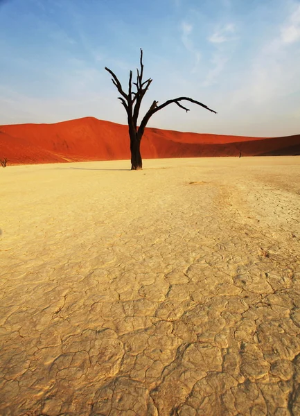Namib Çölü