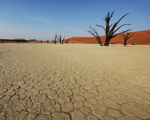 纳米布沙漠 — 图库照片