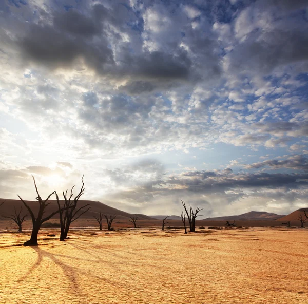 Desierto de Namib — Foto de Stock
