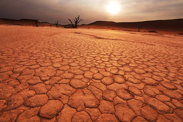 Намиб на закате — стоковое фото