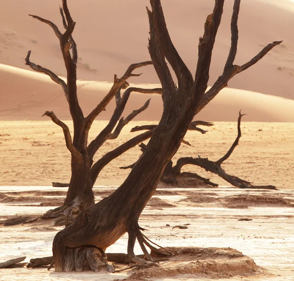 Namibe — Fotografia de Stock