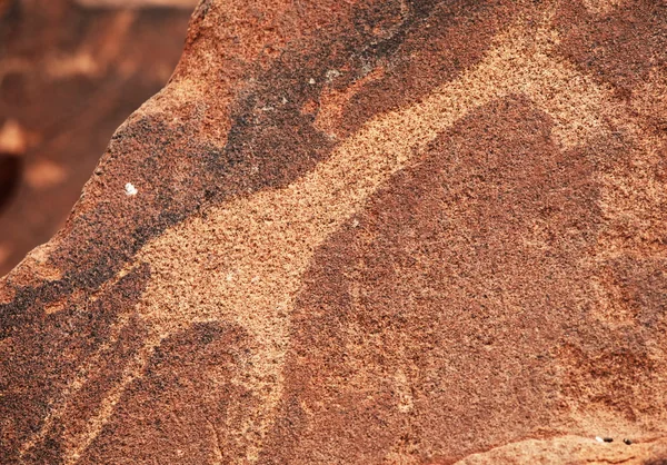 Petroglyph — Stock Photo, Image