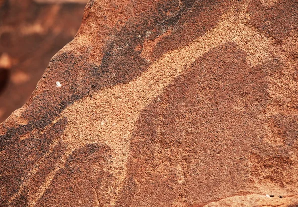 stock image Petroglyph