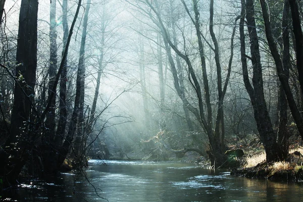 Річки ранку — стокове фото