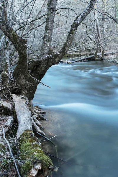 Movimento fluvial — Fotografia de Stock
