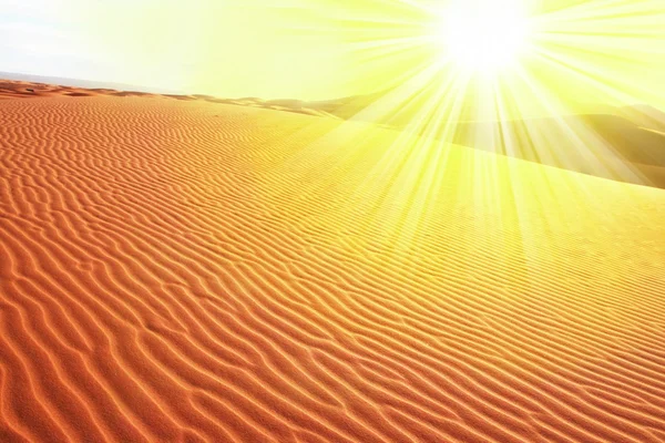 Sahara desert — Stock Photo, Image